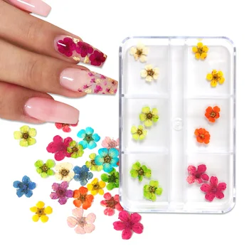 12шт 3D сухи цветя Декорации за нокти арт Етикети с настоящите сухоцветами Аксесоари за маникюр със собствените си ръце за нокти-стилист Аксесоари