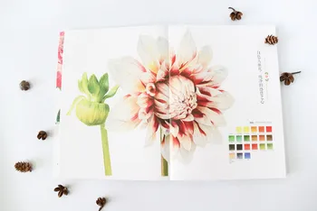 Книгата техника за изразяване на ультрареалистичного цвете акварельного фигурата